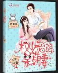 VIP闪婚:权少溺宠呆萌妻