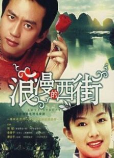 浪漫在西街_电视剧浪漫的西街