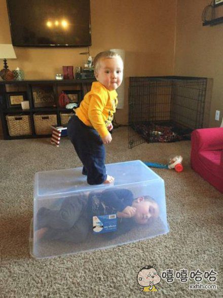 本是同根生,相煎何太急!