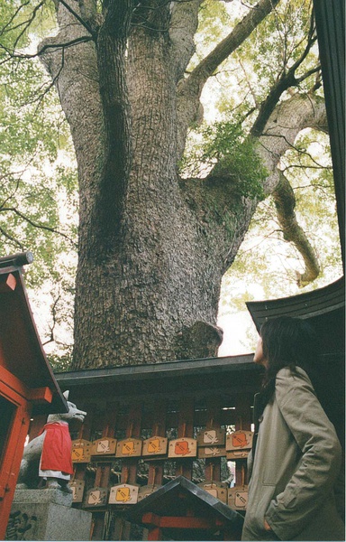中村优子