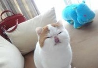 一对老年夫妇谈起他们的青年时代,对遥远过去的回忆使他们激动不已,于是他们决定像年轻时做的那样,定了个到河边约会的日子。
那天,老爹采了鲜花,来到了河边等待,等啊等,一直不见老太太来,天快黑了,只好回家,到家里他看到老伴盖着羊皮袄躺在床上。
老爹嚷起来了:“你怎么敢失约呢?”
老太太把脸埋在枕头里,羞怯地说:“我妈不让我去。”