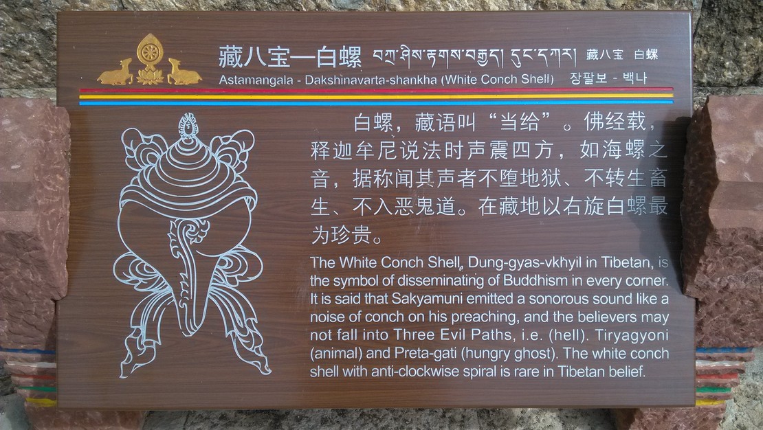 今天看到的,我笑了,不知道你会不会笑!大海边的一户人家惨遭丧子,五岁的男孩在海边被浪花卷走再也没有回来。 家人悲痛欲绝,尸体是找不回来了,母亲对着大海哭了三天,父亲则是对着翻滚的大海沉默无言。 按照当地的风俗习惯,对于意外丧生的人,要在头七那天找灵媒通灵, 让死去的人附身,说一说遗言遗愿,家人完成后好让他走的安心。 这家人便遵着习惯在头七那天请了一个七十多岁的神婆灵媒, 来附魂吐一吐死去孩子的怨气和遗言。 可是有一个大问题,没有尸体。 男孩的尸体并没有被找到, 父母只好寻了点男孩生前衣物放在棺材里,打算做一个衣冠冢。 灵媒看了看棺材里的衣物说,你家孩子的魂魄随着尸体丢在了大海里, 凭着这些衣物恐怕很难成功附到他的魂。 家人又是痛哭,说只想听听孩子的遗愿 让他安心的走云云 灵媒摆摆手,说,“也罢,今天我就帮你去 捞尸” 说完灵媒咬破了手指,用血在男孩的衣服上划了一道符 然后死死盯着那家父母说 “大海深不可测 每年死在海里的人不计其数 我只能靠这些衣物加强我和你孩子的联系 找不找得到你孩子的魂 也只是看运气 而且…” 父母大气不敢出等着灵媒说下去 灵媒接着说道“而且 海里不只有死人 还有许多未知的东西 所以以恢复身后有任何不对劲 马上把我杀掉 不要犹豫” 父母又是感动又是害怕 原来灵媒这一次是堵上了性命 父母二人也是跪在地上 连连感谢 说罢 灵媒闭上眼睛 嘴里嘀咕着古老咒语 片刻后突然怒目圆睁 瘫倒在地 那户人家头一次看到人睁着眼睛瘫倒的场景 大气不敢出 现场一片寂静 一秒 两秒 三秒 四秒 五秒 …… 灵媒的生体突然开始了剧烈的抖动 在场的人心头一紧 想起了灵媒之前说的话“而且 海里不只有死人 还有许多未知的东西 所以以恢复身后有任何不对劲 马上把我杀掉 不要犹豫” 未知的东西 是什么? 怪兽 野兽 恶鬼??还是… 一秒 两秒 三秒 四秒 五秒 …… 灵媒抖了五秒之后 突然从地上坐了起来 睁着大眼睛按着在场的人 男孩的父亲举起猎枪,对准了灵媒,准备随时扣动扳机 母亲则是捂着嘴不让自己叫出声音 眼泪已经流满了脸颊 灵媒突然开口说话了 高亮 尖锐地声音划破了现场的寂静 派大星 我们去抓水母吧~~~!!