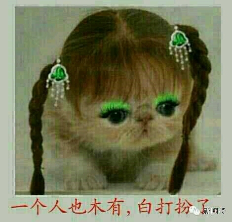 老头子给儿子买车子,去现场办理汽车分期付款手续登记。银行业务员说:先生您是季付,还是月付。老头一听火了,说:我他妈的不是继父,也不是岳父,我是……父亲!于是业务员就在申请表格上打钩了…一次付清。-----有钱就是任性! 你笑了,我的目的就达到了!