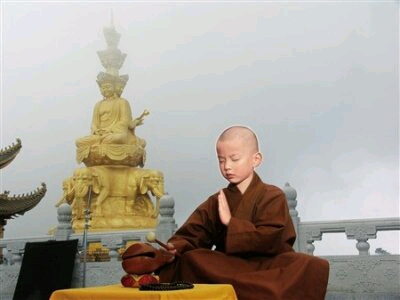 禅师正在打坐,忽遇毛贼,一把大刀架在脖子上,毛贼:“把钱全拿出来”
禅师:“钱财乃身外之物,生不带来死不带走,施主拿去吧”
毛贼:“这可是你毕生化缘所得”
禅师:“佛讲因果轮回,你我前世有因 ,才得今天之果”
毛贼:“我罪孽深重,禅师能否渡我”
禅师:“能”
毛贼:“如何渡法”
禅师:“放下屠刀,立地成佛”
毛贼:“放下了”
禅师上前一步,捡起屠刀直指毛贼:“ 小逼崽子,一天天的跟谁俩的呢!”!