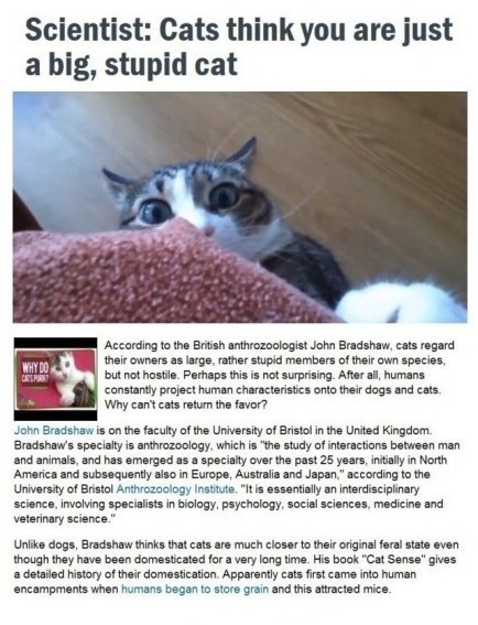英国布里斯托大学动物关系学家John Bradshaw研究发现,和狗不同,猫很难驯化,而且在猫眼里,主人只是一只会给它吃的,没有恶意的,体型硕大的,傻逼猫。。。你以为你家喵星人跟你很亲,其实在它眼里,你根本就不是它的主人。。而且还傻逼。。【挖鼻屎 (net)
