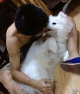 1、命是爸妈给的、珍惜点,路是自己走的、小心点。2、没事开个同学会,拆散一对是一对。3、放纵的笑,是我仅剩的骄傲。4、每个说不想谈恋爱的人,心中都装个不可能的人。5、爱情就像笑话,笑死了别人,笑疼了自己。6、只剩记忆可以炫耀,即使说说也好。7、情话就是骗子说给傻子听的。