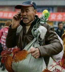 一农民进城,看见一广告牌上写着:苹果,优惠价4688!老头一惊:谁吃得起?往前走,又看见一个广告牌:小米,2299!老头想,八成是骗子!继续前行,又看见一个牌子写着:小辣椒,只要998!老农实在忍不住了,拿起手机给儿子打电话:娃啊,别打工了,快回家种地吧,要发了...
三楼怎么看?