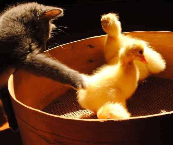 生活 无非就是 你在闹 我在笑!的评论_百田搞