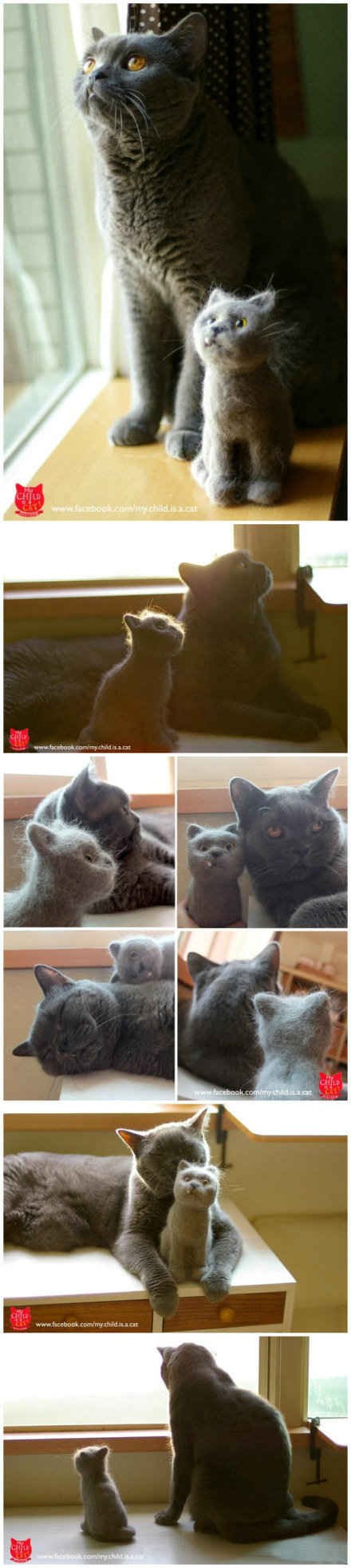 【超传神!用猫毛做猫毛毡娃娃,留下他的DNA】香港作家兼插画家Emily每天收集爱猫Tovi身上梳下来的毛,按照Tovi的样子制作毛毡娃娃。“Tovi 是10岁的老猫了,毛小孩总有一天会离我而去,我想亲手做一有个最真实、最有意义的纪念,有他的气味、线条、弧度、DNA;也有我的心思、时间、对他的了解和爱!”