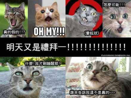 This is how my week goes: Mooooooooooooonday, Tuuuuuuuuuuuuesday Weeeeeeeeeeednesday, Thuuuuuuuuuuursday, FridaySaturdaySunday. 我的一周是这样过的:星期期期期期期期期期期一,星期期期期期期期期二,星期期期期期期期期期期期期三,星期期期期期期期期四,星期五周六周末