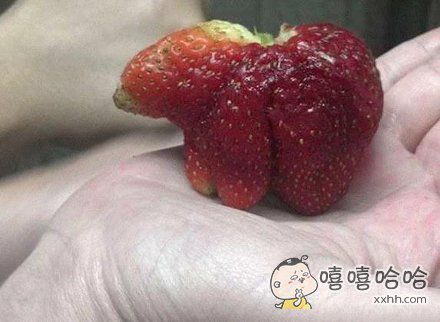 “草莓熊”的评论_百田搞笑大全