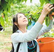 萱野可芳 饰 诺蓓儿