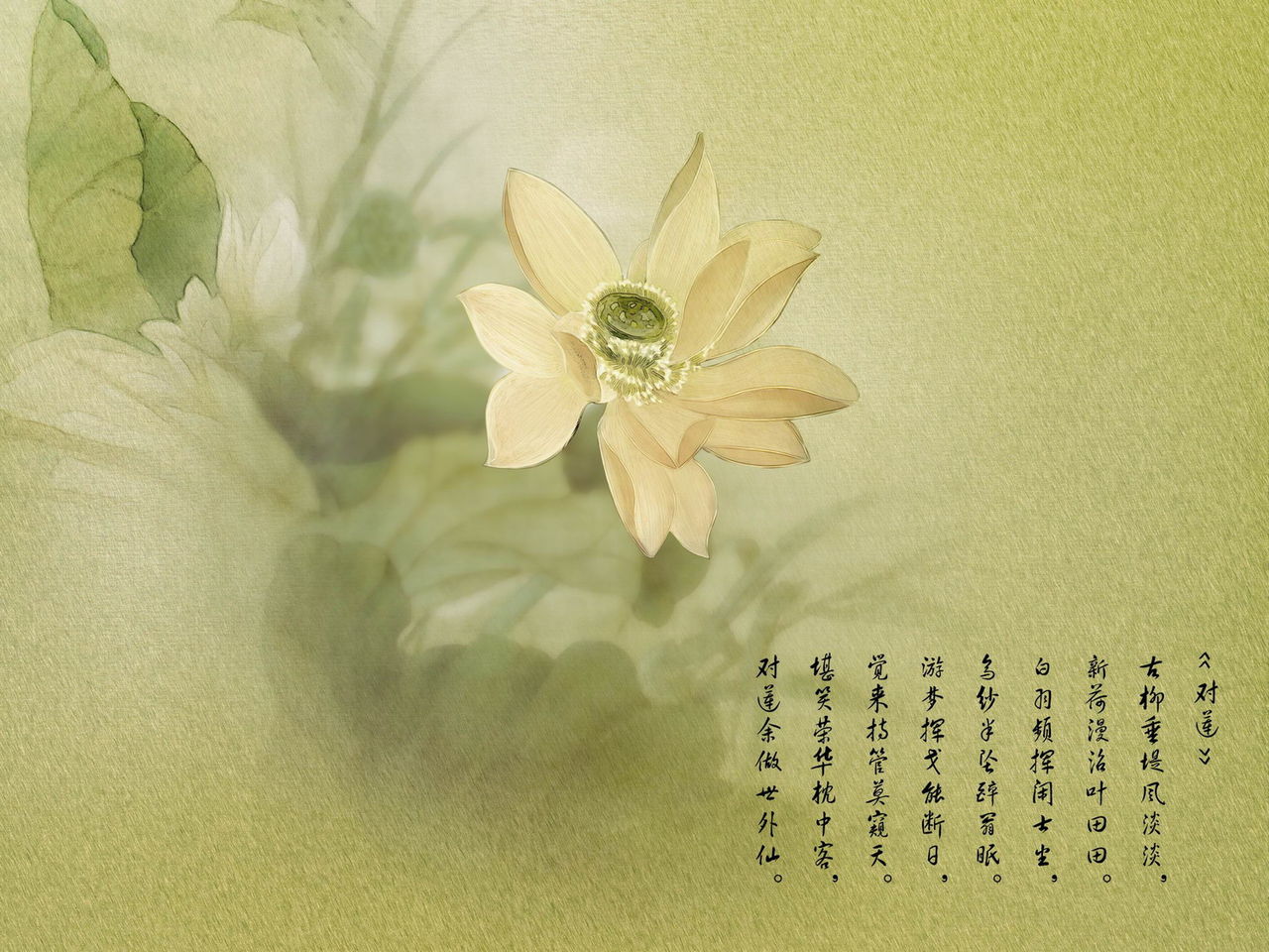 不见好看吗 不见怎么样