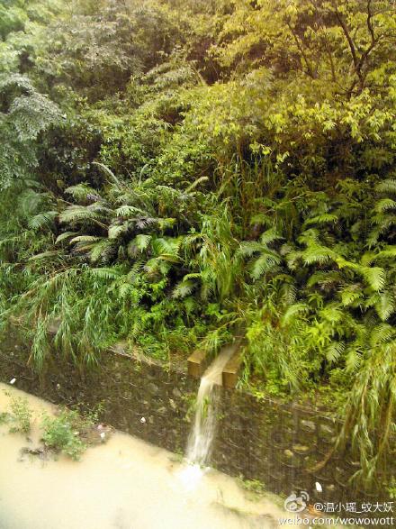 土著与汉纸(穿越)最新章节_土著与汉纸(穿越)全