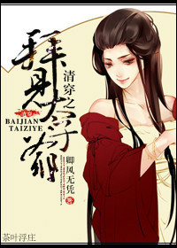 清穿小说排行榜_将进酒小说(4)