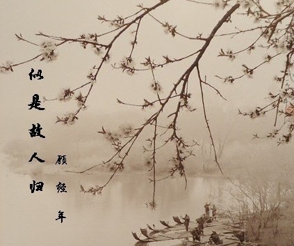 似是故人归好看吗 似是故人归怎么样_百田小说大全