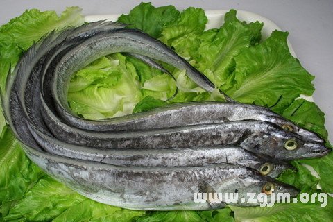 梦见带鱼