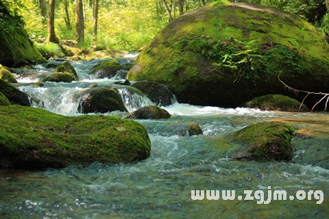梦见潺潺流水