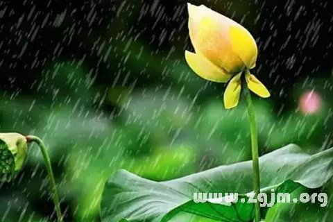 梦见毛毛细雨,预示着现阶段会面临一段困难.