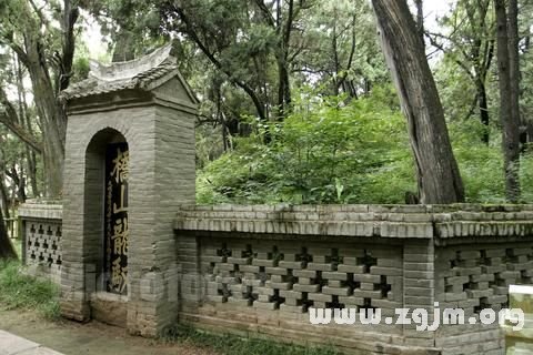 梦见上坟烧纸