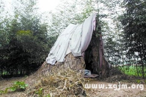 梦见在坟里睡觉