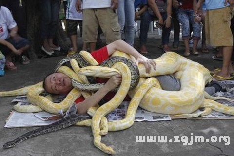 梦见蛇缠身