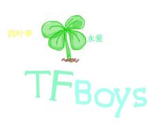 四叶草永爱tfboys