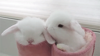 1423302511769.gif