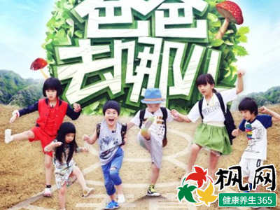 【童趣】爸爸去哪儿第三季准名单