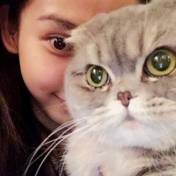 可爱迷你小猫咪头像