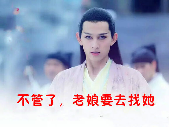 【笙墨阁丨阿笙】花千骨番外篇*搞笑怪图小段