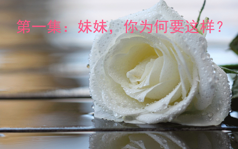 原创《白色玫瑰》---奥比剧