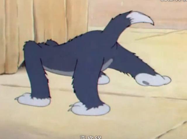【转】图解猫和老鼠