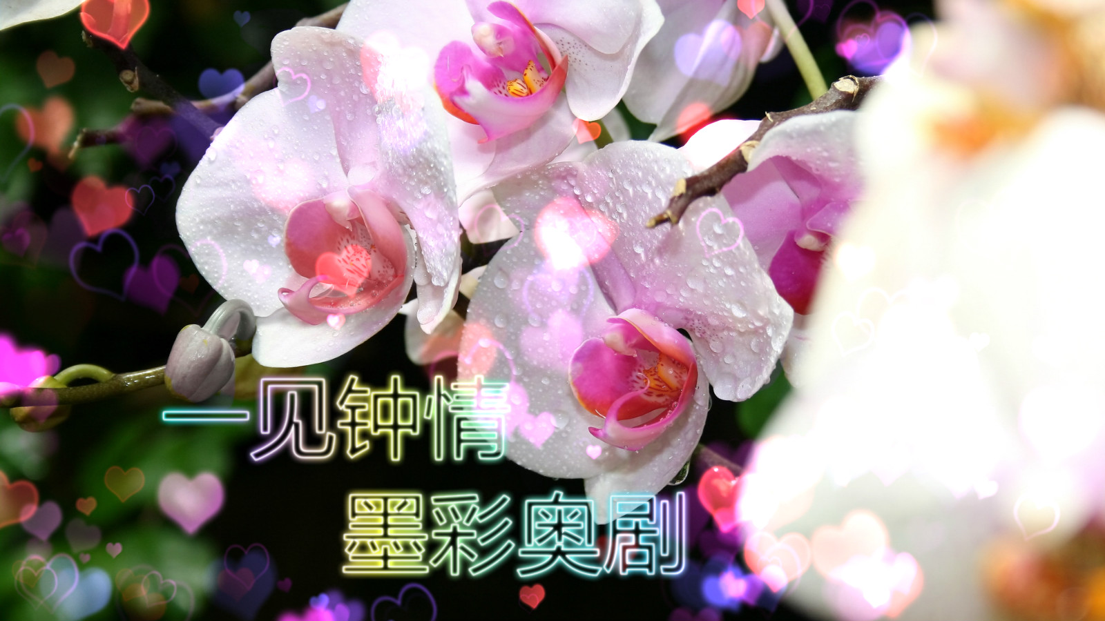 【墨彩】奥剧:一见钟情(古装)