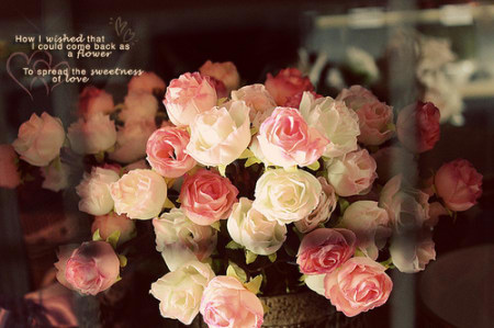 奥剧,初梦,奥比小怪版.慢更